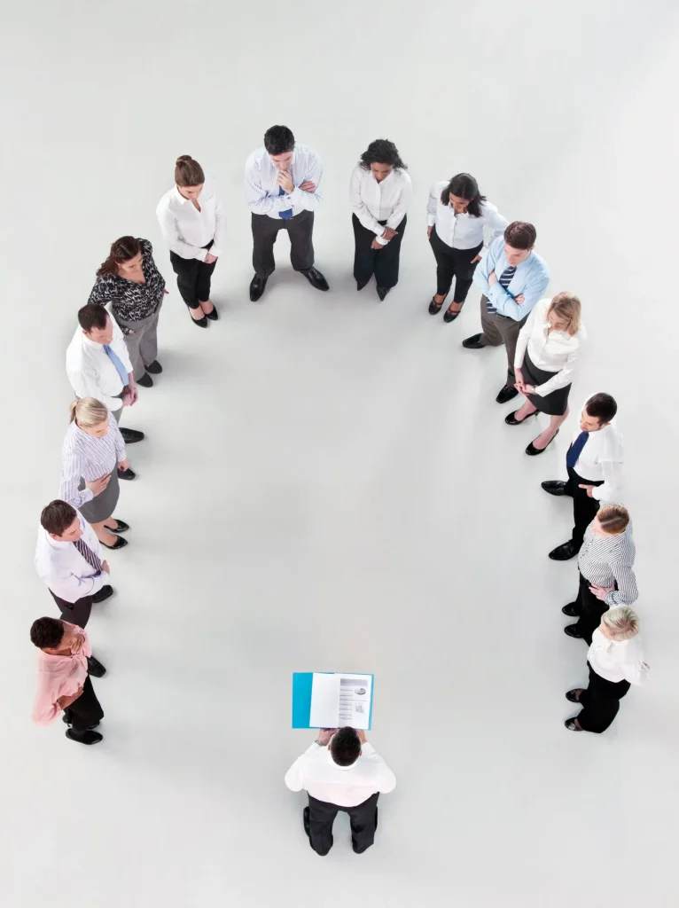 Gestion de projet, innovation & leadership